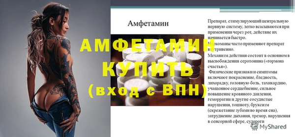 крисы Абаза