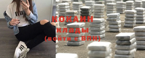 крисы Абаза