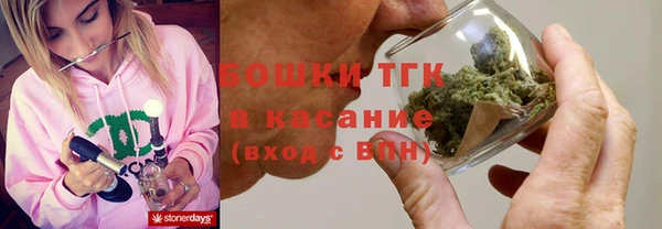 крисы Абаза