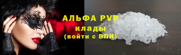 крисы Абаза