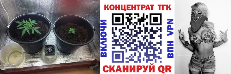 ТГК Wax  Элиста 